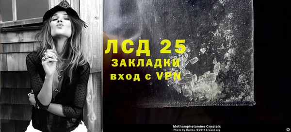 молекула духа Белая Холуница