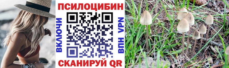 Псилоцибиновые грибы MAGIC MUSHROOMS  Радужный 