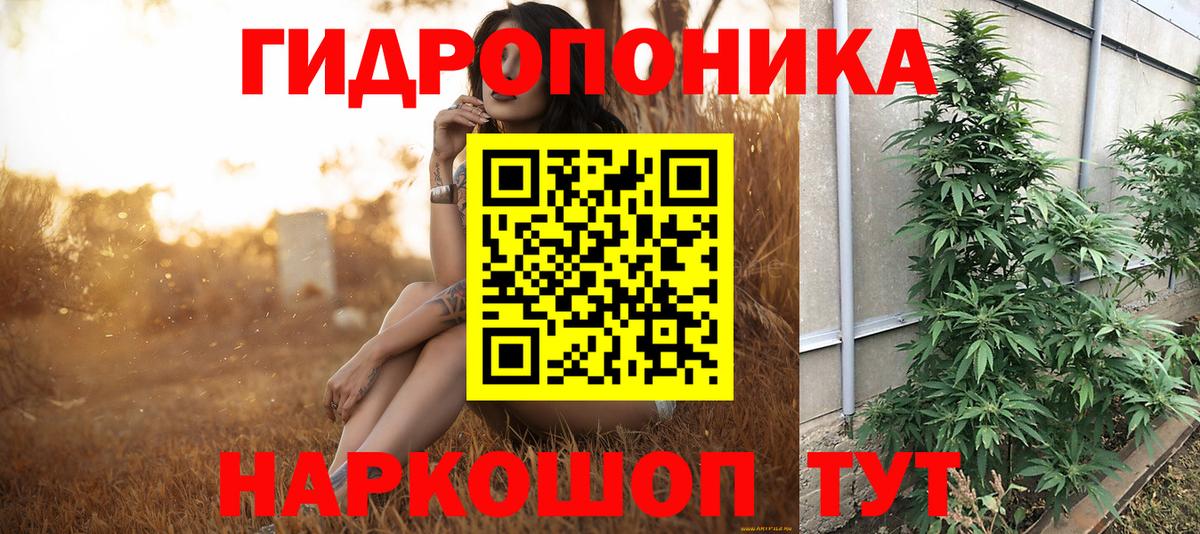 Бошки Шишки Bruce Banner  Вход с VPN  Бошки марихуана ГИДРОПОН  Радужный 